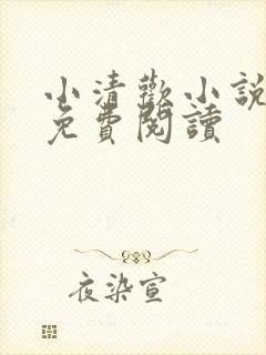 小清欢小说全文免费阅读封面