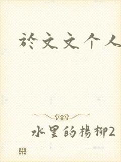 于文文个人简历