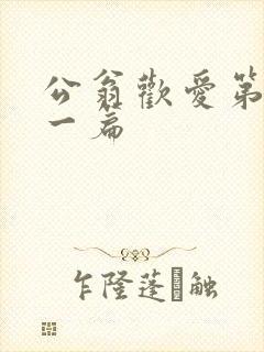 公翁欢爱第三十一篇