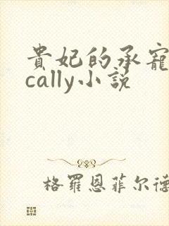 贵妃的承宠日常cally小说封面