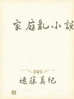 家庭乱小说封面