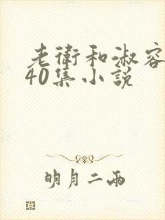 老卫和淑容1-40集小说