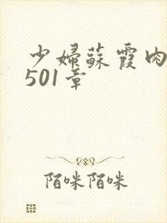 少妇苏霞肉欲第501章封面