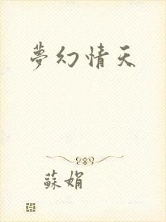 梦幻情天封面
