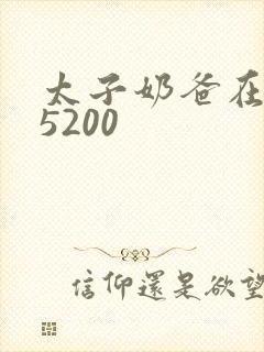 太子奶爸在花都5200封面