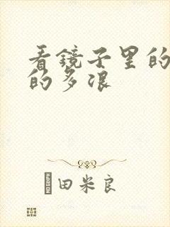 看镜子里的你叫的多浪