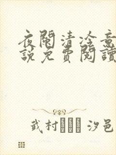 夜阑清冷意欢小说免费阅读