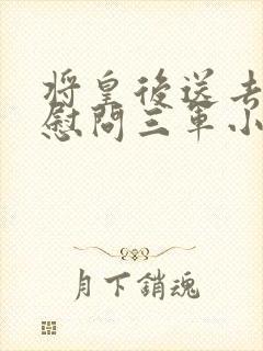 将皇后送去军营慰问三军小说