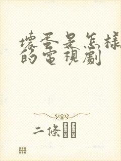 坏蛋是怎样炼成的电视剧封面