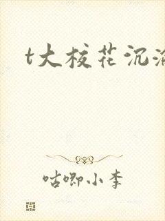 t大校花沉沦封面