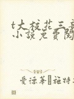 t大校花三部曲小说免费阅读全文