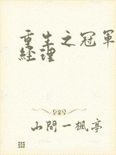 重生之冠军篮球经理封面