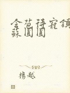 含苞待宠镇国公苏圆圆