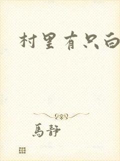 村里有只白骨精封面