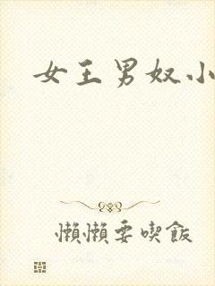 女王男奴小说封面