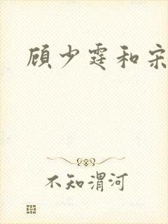 顾少霆和宋斯曼封面