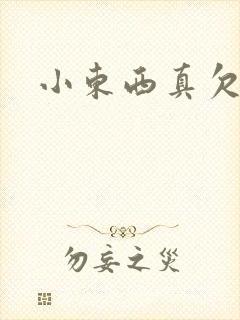 小东西真欠弄