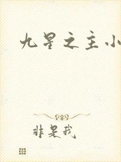 九星之主小说