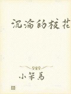 沉沦的校花封面