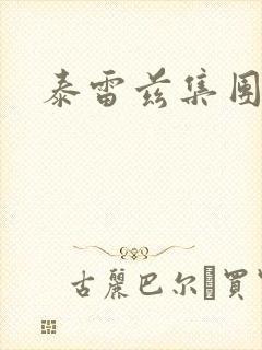 泰雷兹集团封面