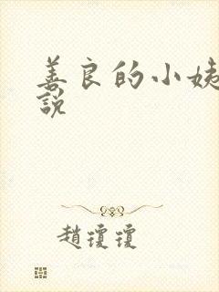 善良的小姨子小说
