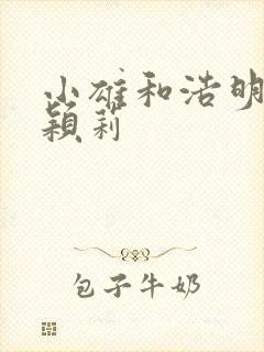 小雄和浩明夹击颖莉