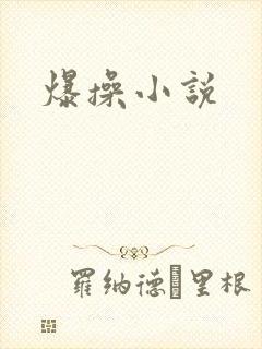 爆操小说