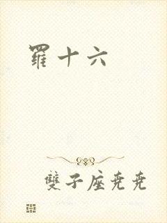 罗十六封面