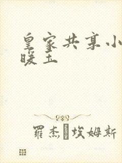 皇家共享小公主暖玉