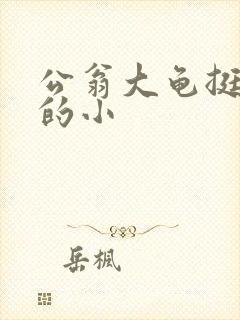 公翁大龟挺进我的小封面