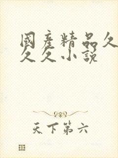 国产精品久久久久久小说