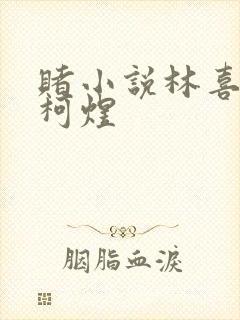 赌小说林喜朝和柯煜