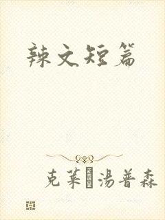 辣文短篇