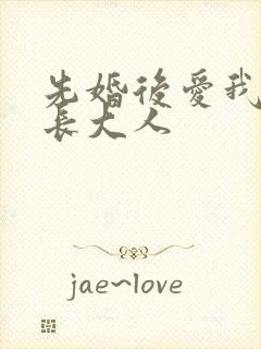 先婚后爱我的市长大人封面