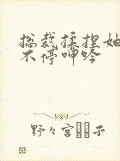 总裁揉捏她两乳不停呻吟封面