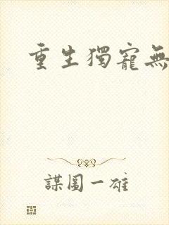 重生独宠无二封面