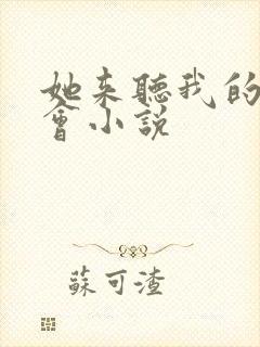 她来听我的演唱会小说