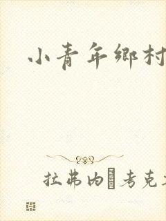 小青年乡村猎艳封面