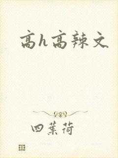 高h高辣文封面