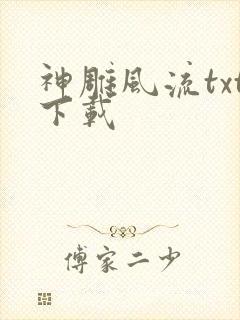 神雕风流txt下载