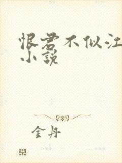 恨君不似江楼月小说