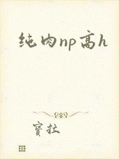 纯肉np高h