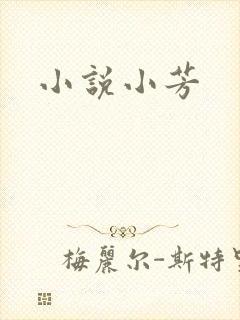 小说小芳