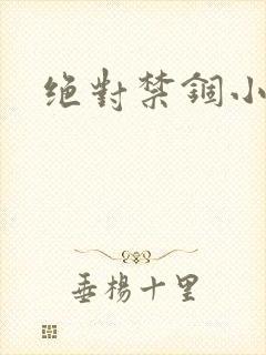 绝对禁锢小说封面