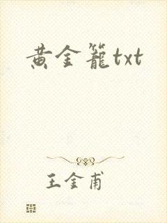 黄金笼txt