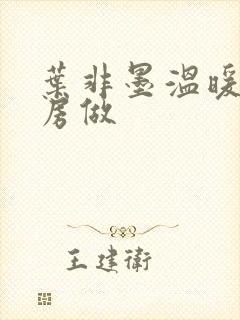 叶非墨温暖在厨房做