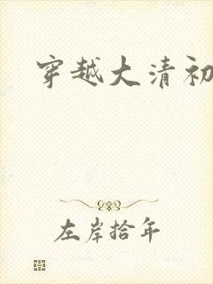 穿越大清初年封面