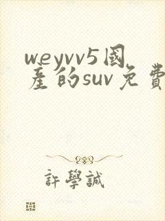 weyvv5国产的suv免费