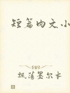 短篇肉文小说封面