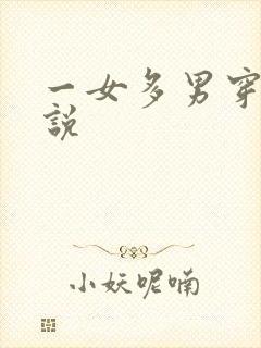 一女多男穿越小说